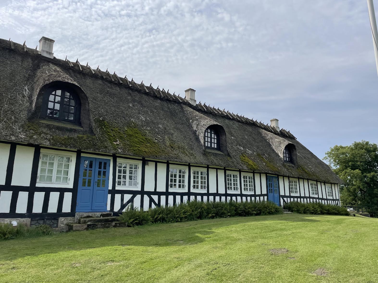 Voldsgaard