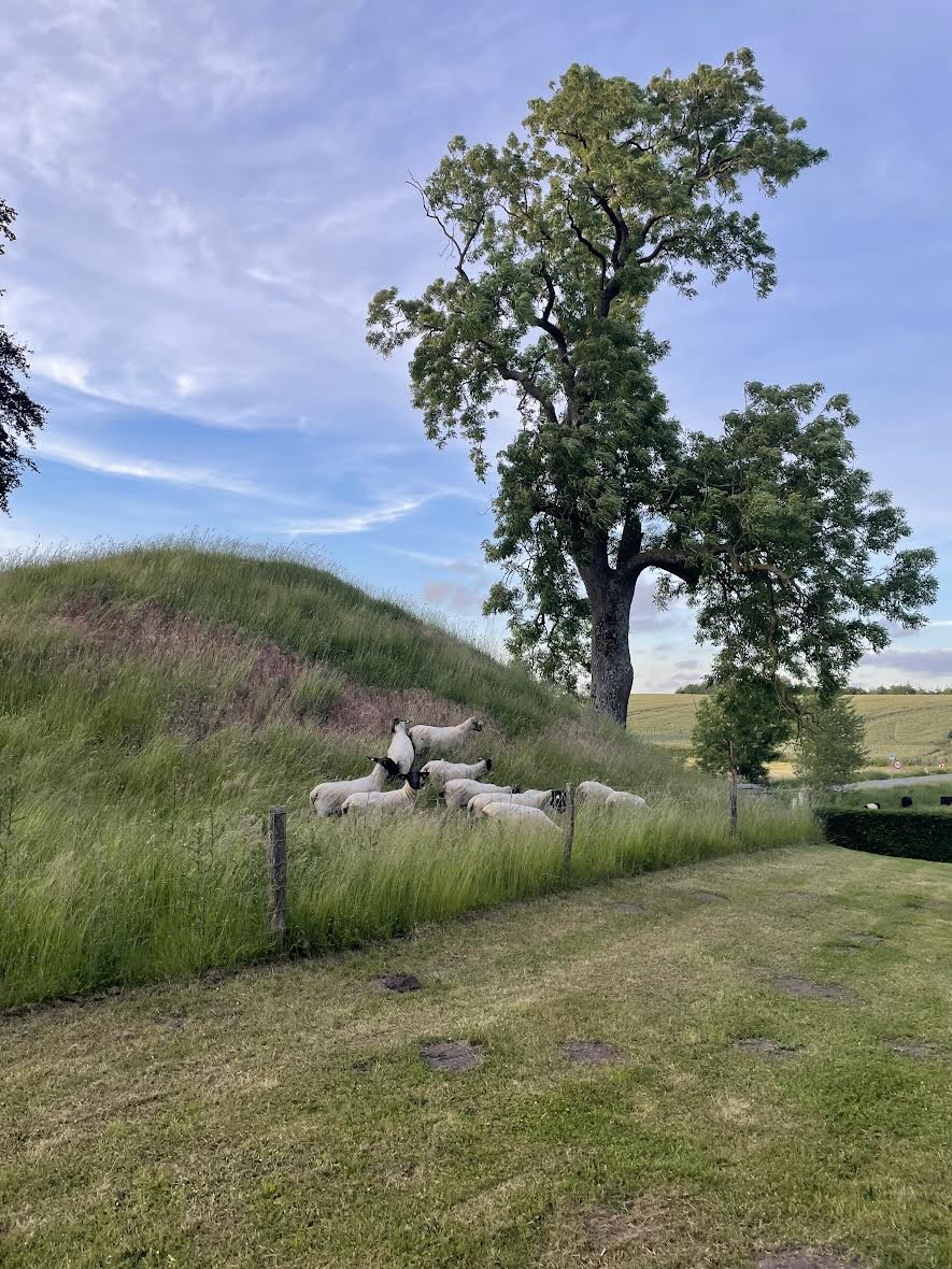 Voldstedet